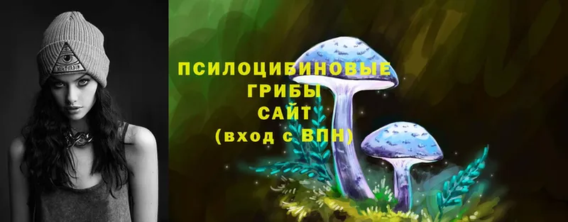 Псилоцибиновые грибы Psilocybe  купить закладку  Чулым 